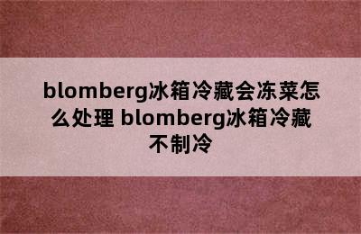 blomberg冰箱冷藏会冻菜怎么处理 blomberg冰箱冷藏不制冷